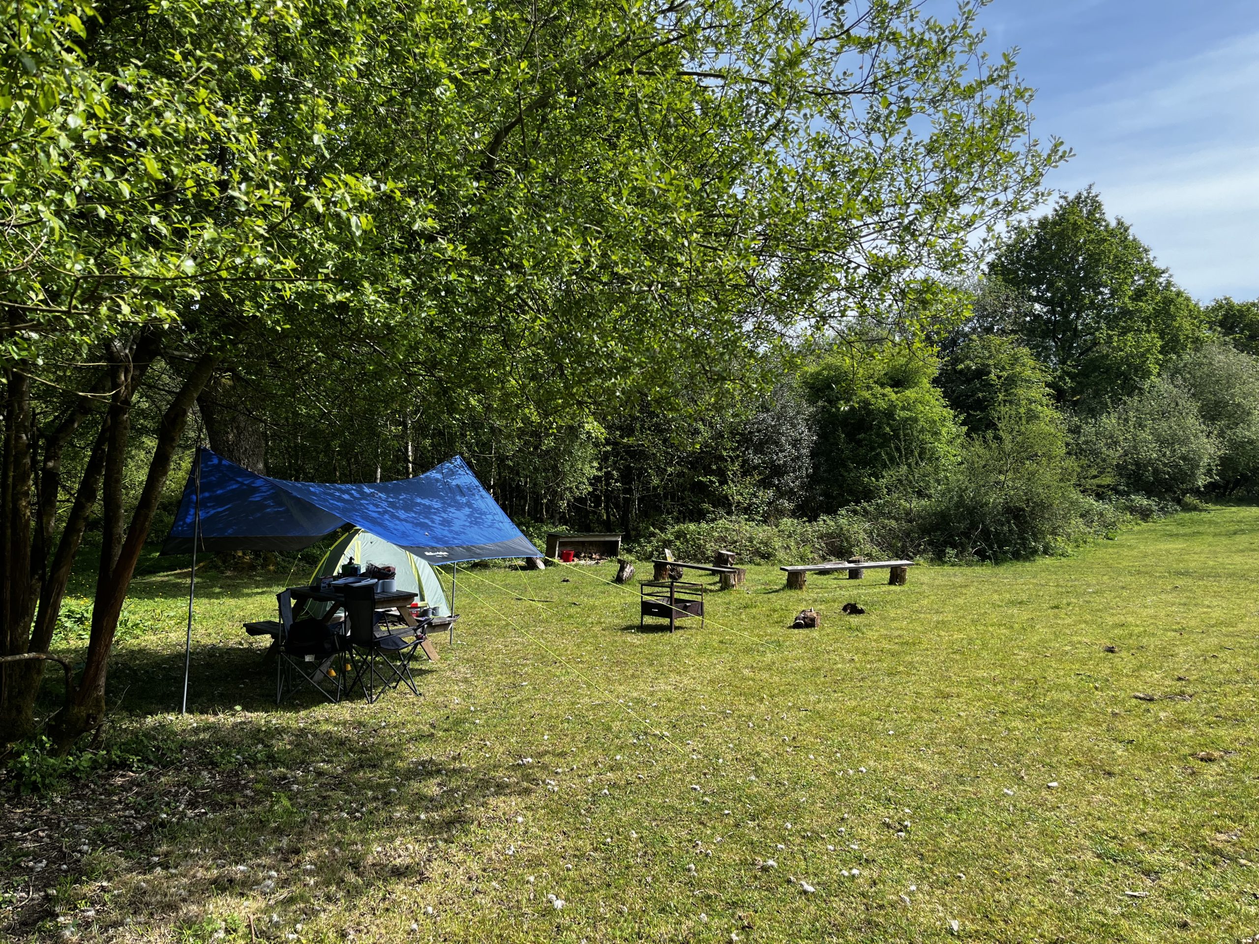 img 2212